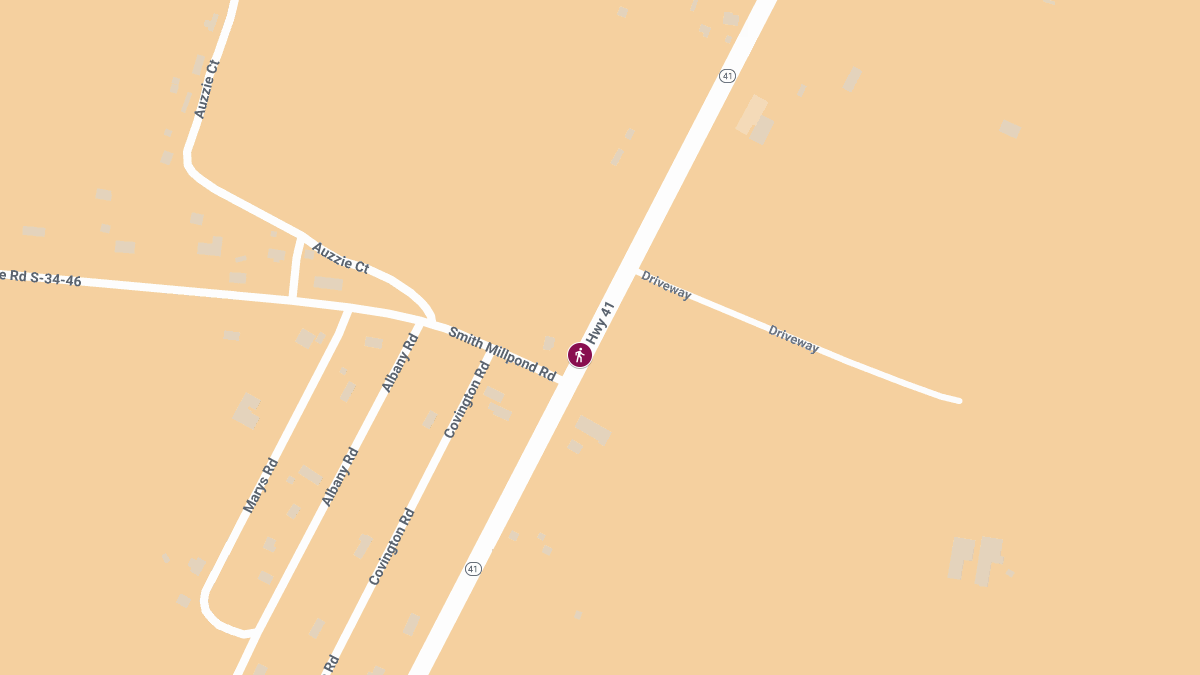 Fatal Pedestrian Crash on Highway 41 Near Smith Millpond Rd
