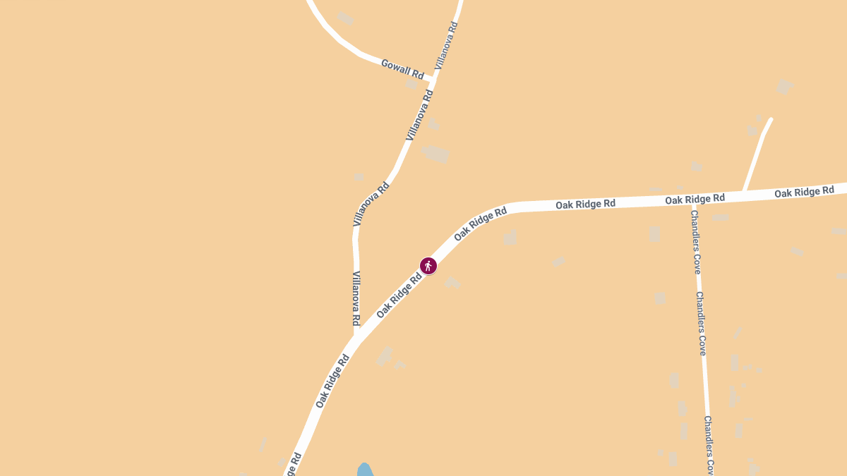 Pedestrian Killed While Assisting with Fallen Tree Removal