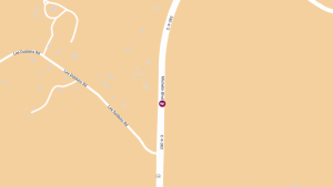 Fatal Hit-and-Run Crash on Michelin Blvd Near Lee Dobbins Rd