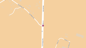 Fatal Hit-and-Run on Michelin Blvd at Lee Dobbins Rd