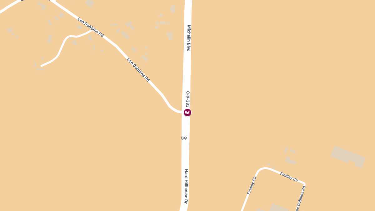 Fatal Hit-and-Run on Michelin Blvd at Lee Dobbins Rd
