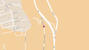 19-Year-Old Killed in Hit-and-Run Crash on Hudson Landing Rd
