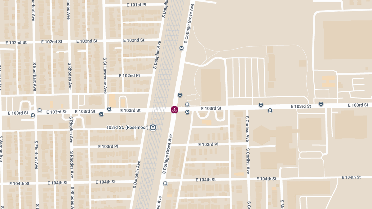 Bicycle Crash at E 103rd St & S Cottage Grove Ave Causes Injurie