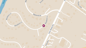 Crash with Injury Reported on Blackthorn Ln