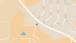Five Injured in Golf Kart Crash on Eli Dr Near Fruitland