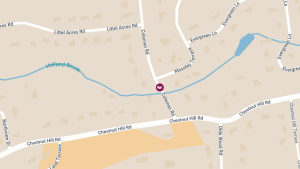 Injuries in Crash Near Roosevelt & Coleman Streets