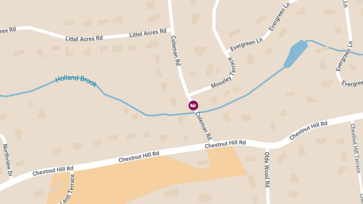 Injuries in Crash Near Roosevelt & Coleman Streets