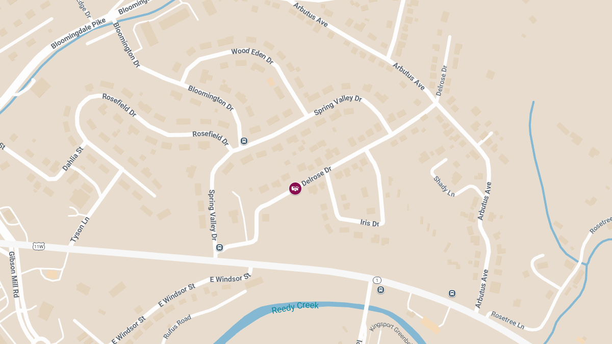 Injury Accident at 1029 Delrose Dr