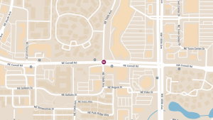 njury Crash at NE 106th Ave and NE Cornell Rd