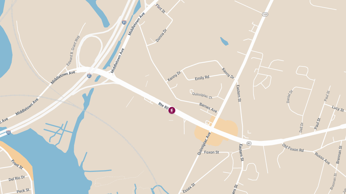 Jaime Melendez-Martinez Killed in Pedestrian Crash on Foxon Blvd