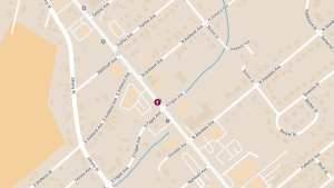 Pedestrian Fatally Struck by Vehicle on State St Near N Fagan Ave