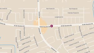 Pedestrian Fatally on W Mount Houston Rd