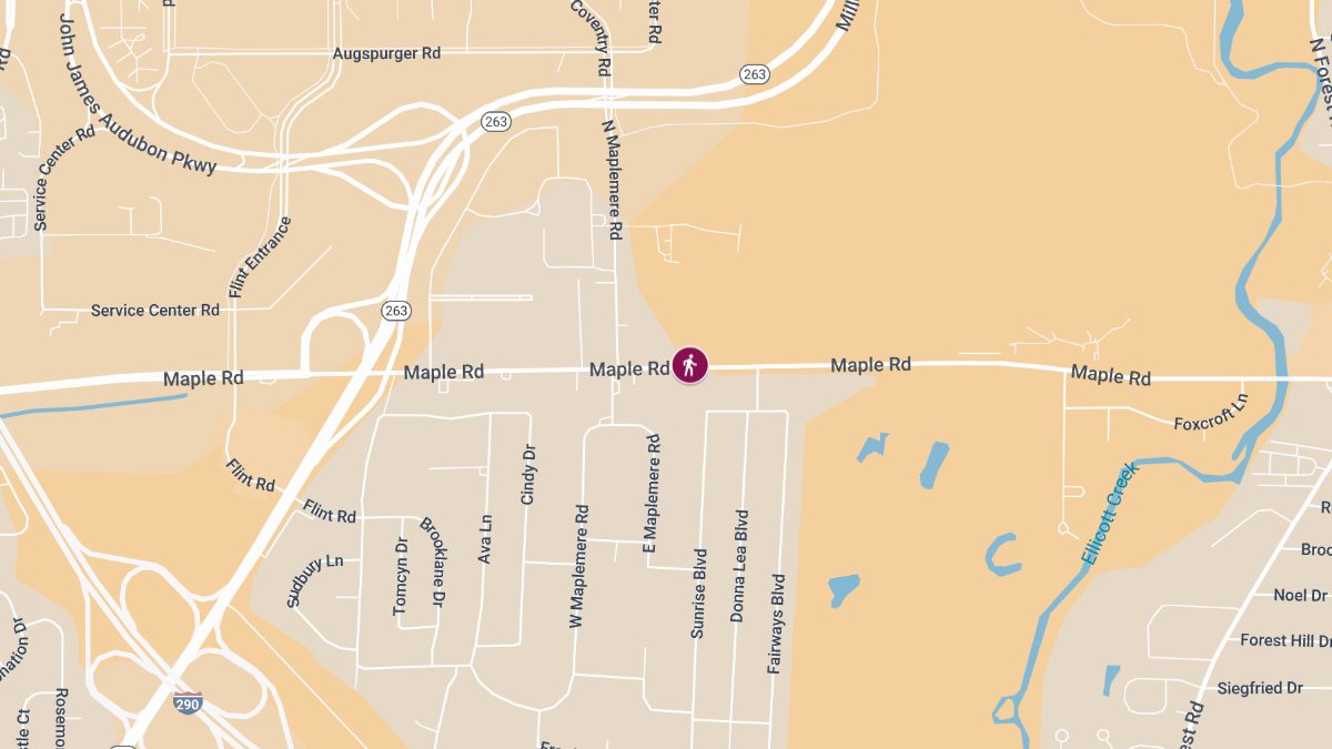 Pedestrian Struck by Vehicle on Maple Rd