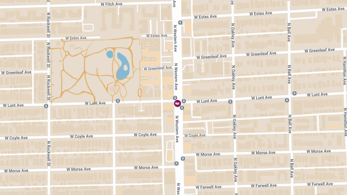 Teen Injured in Hit-and-Run at N Western Ave & W Lunt Ave