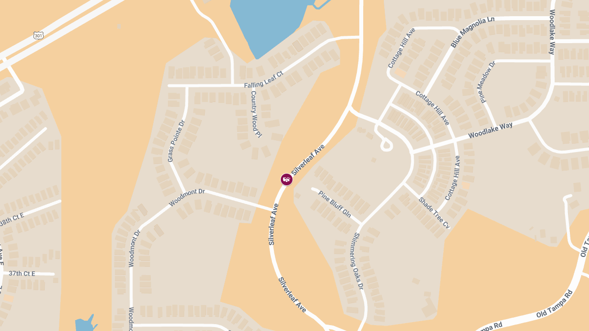 Two Teens Killed, Two Injured in High-Speed Crash on Silverleaf Ave