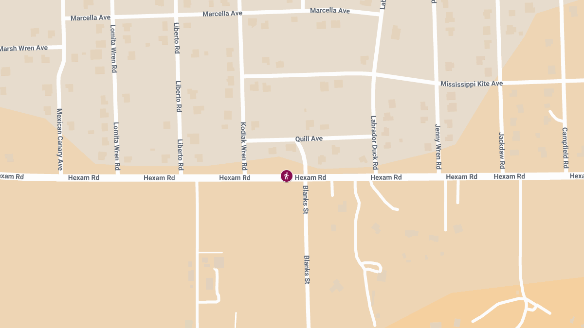 Woman Fatally Struck While Assisting Injured Animal on Hexam Rd