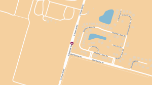 Woman Killed in Hit-and-Run Crash on S Green Mount Rd