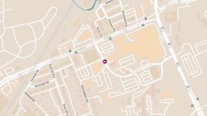 Hit-and-Run Victim at St. Agnes Hosp