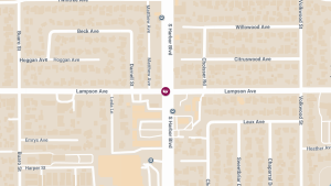 Injuries Reported in Crash at Harbor Blvd & Lampson Ave