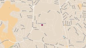 Pedestrian Struck and Killed by Truck Near Iroquois Park