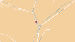 Pedestrian Struck at 169 Lynns Fork Rd