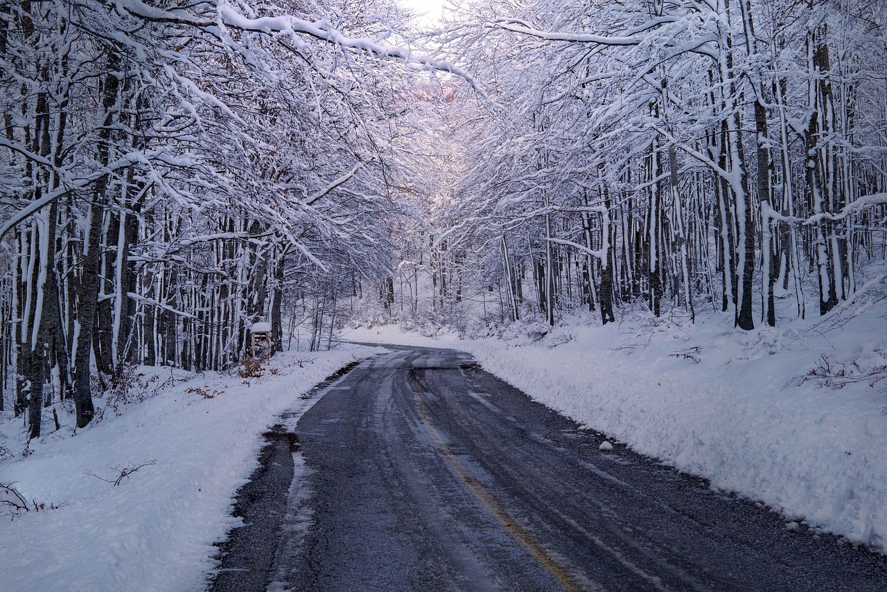 A Deadly Peril: Fatal Nighttime Crashes on Icy Gravel Roads in North Dakota