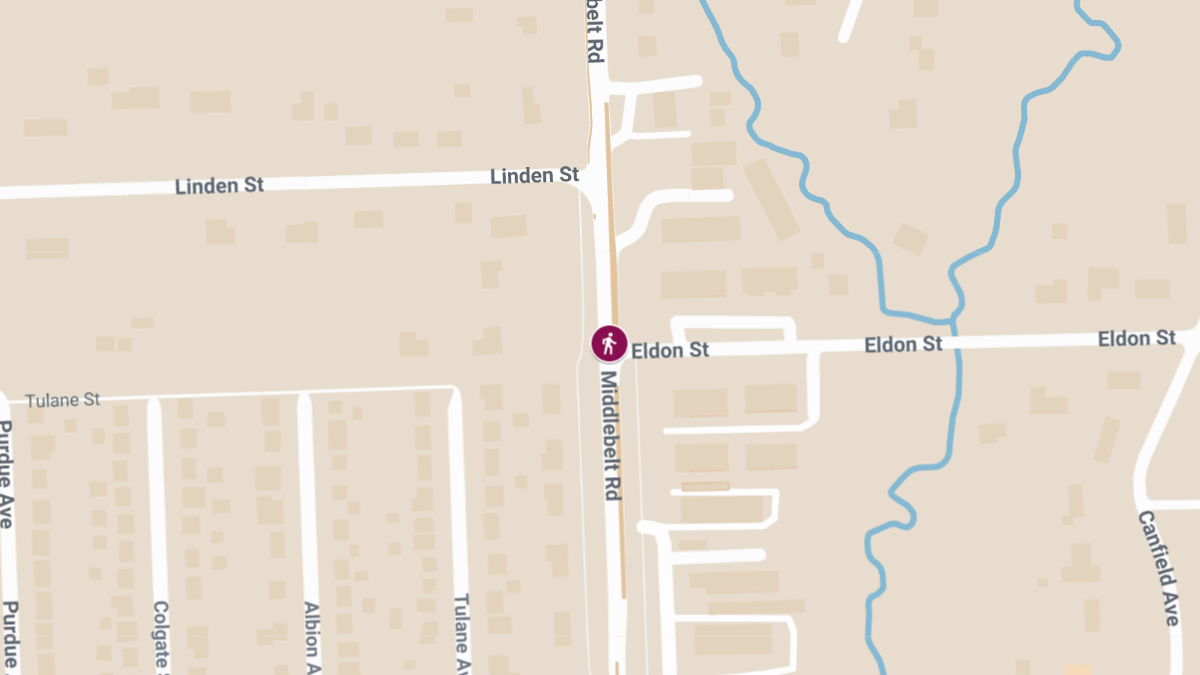 68-Year-Old Killed in Hit-and-Run at Middlebelt Rd & Eldon St