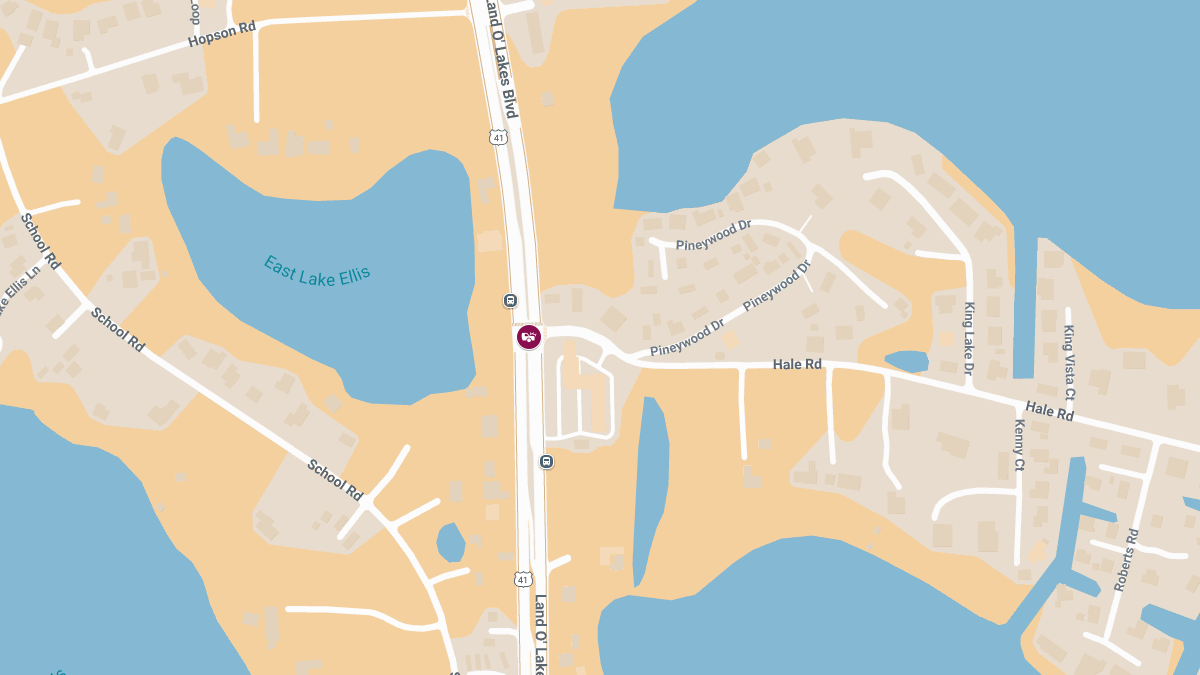 Crash with Injuries and Roadblock at Land O Lakes Blvd and Hale Rd