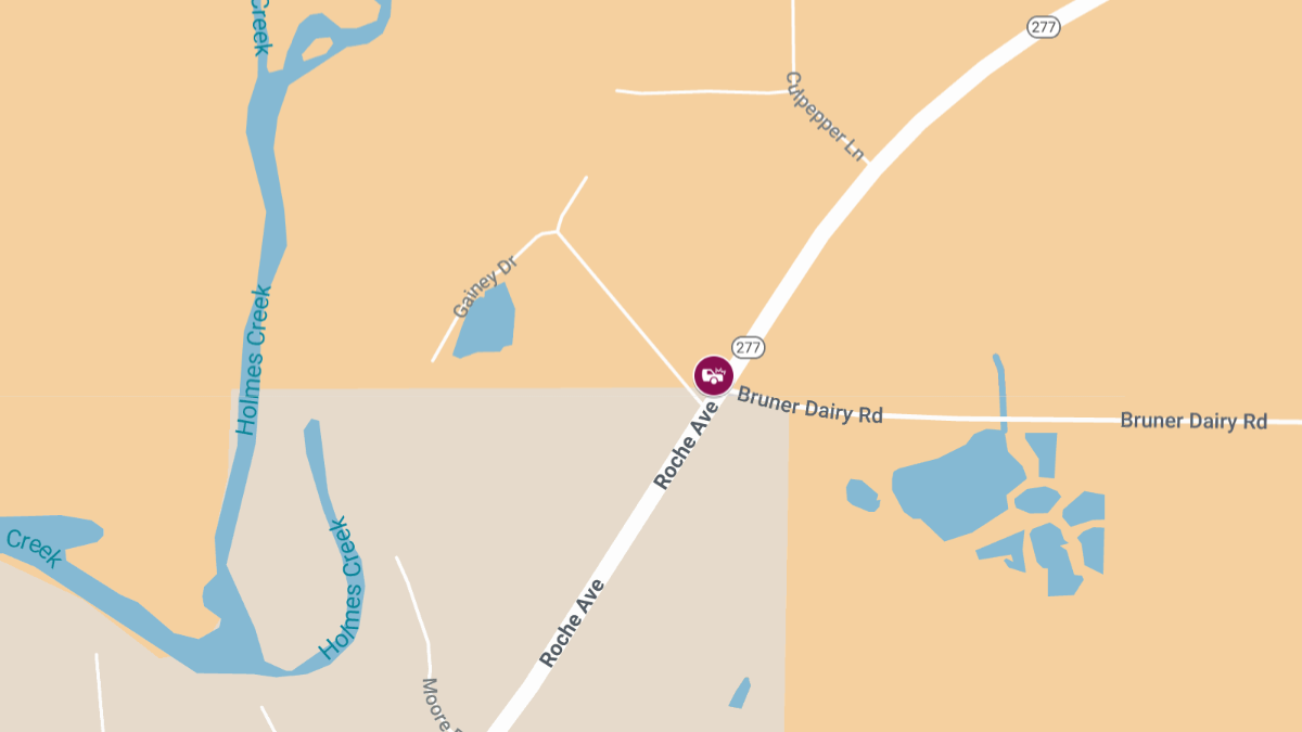 Crash with Injuries and Roadblock at Roche Ave and Bruner Dairy Rd