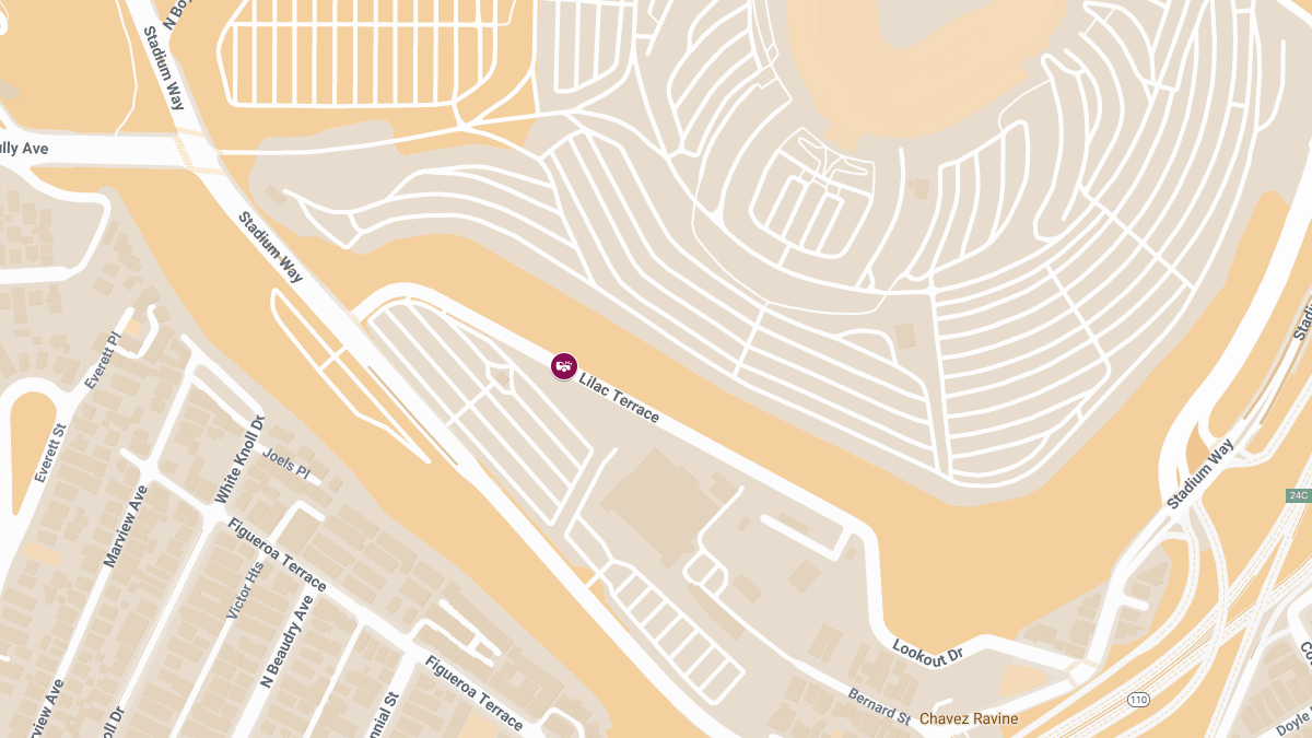 Emergency Response to Injury Accident on Lilac Terrace