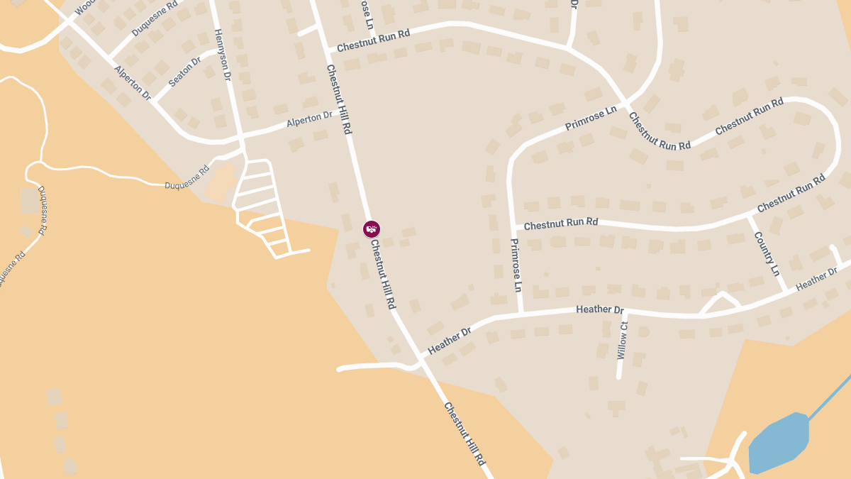 Head-On Collision with Injuries on Chestnut Hill Rd