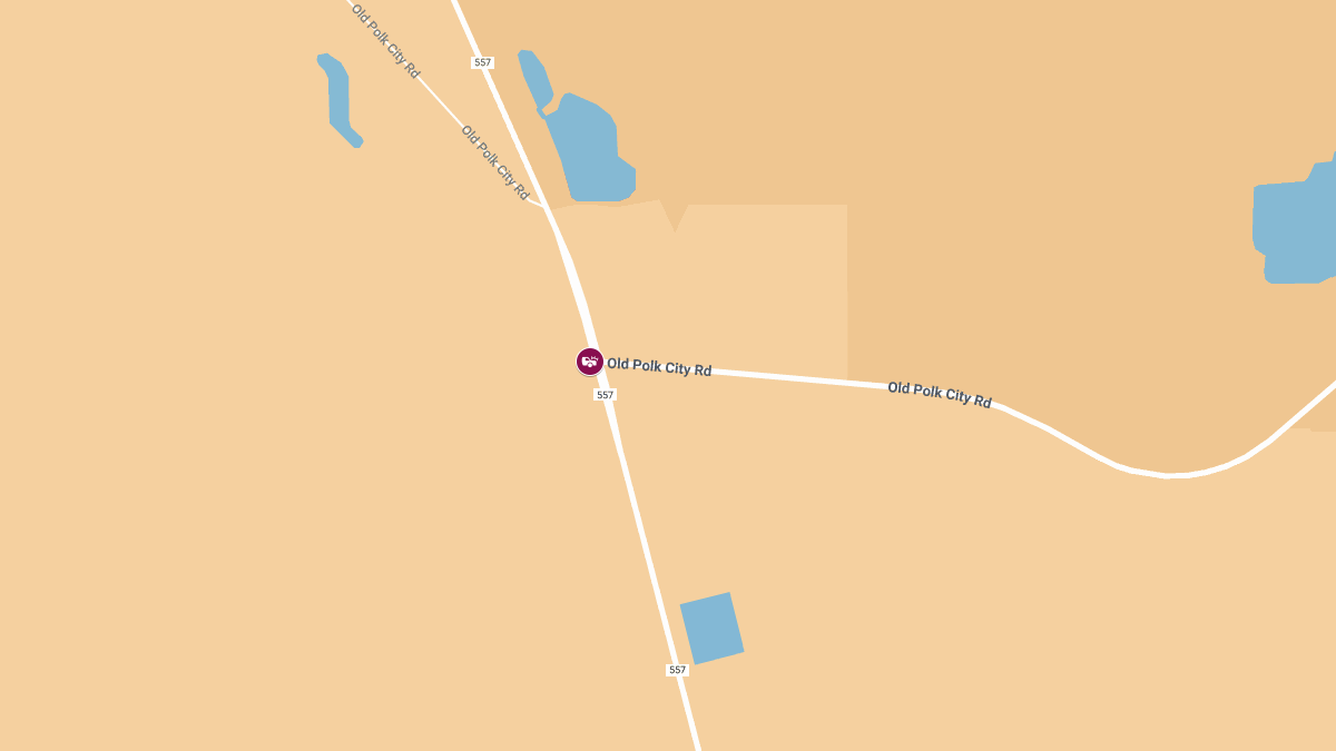 Hit-and-Run Crash With Injuries at Old Polk City Rd and CR-557