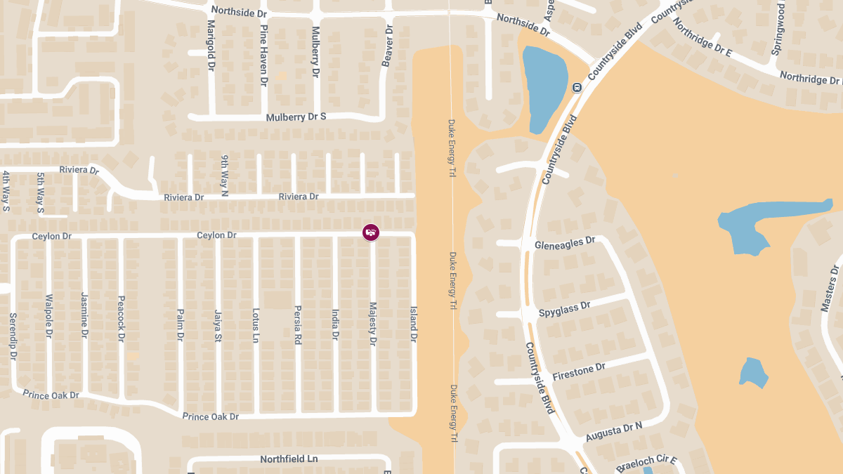 Hit-and-Run Crash with Injuries at Majesty Dr and Ceylon Dr