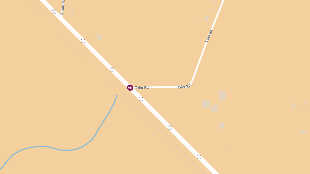 Latrice Robinson Killed in Head-On Crash on LA Hwy 1 at Tyler Rd