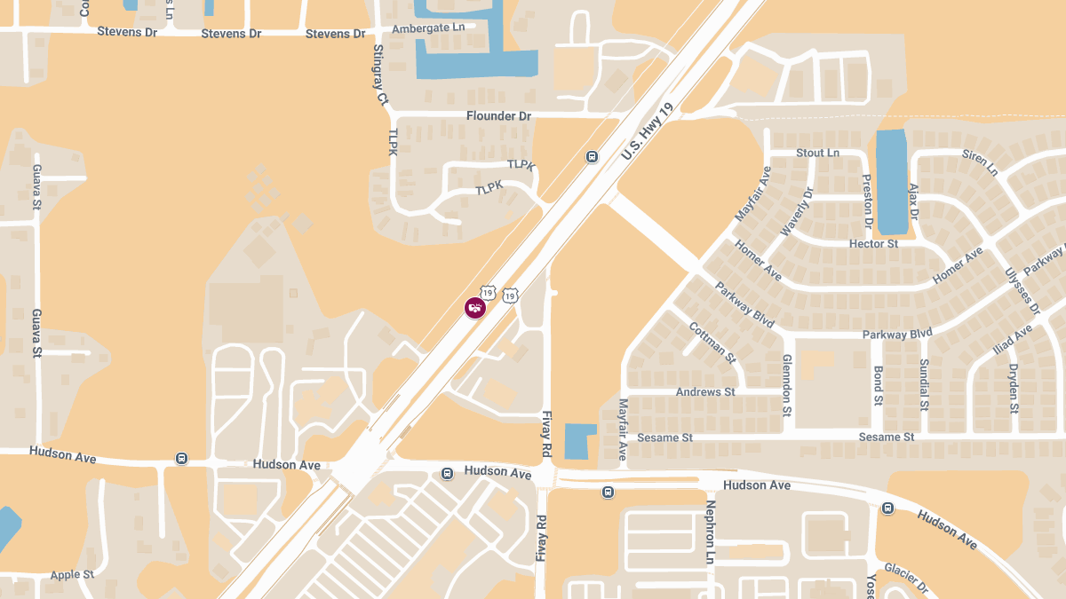 One Killed, Another Seriously Injured in Chain-Reaction Crash on US-19 Near Hudson Ave