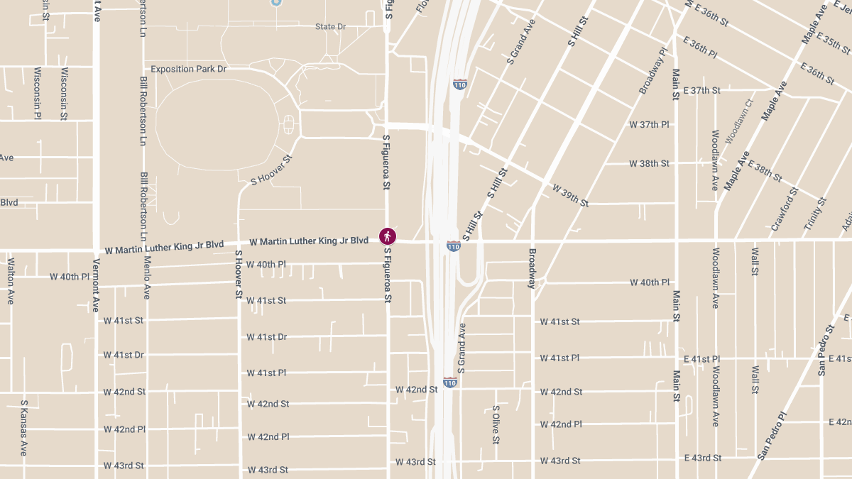 Pedestrian Accident at S Figueroa St & W Martin Luther King Jr Blvd Causes Injuries