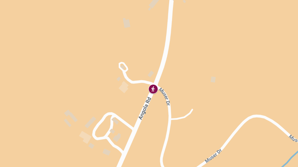 Pedestrian Critically Injured in Crash on 186 Angola Rd