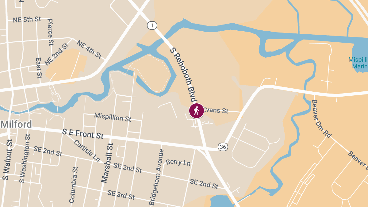 Pedestrian Critically Injured in Crash on N Rehoboth Blvd; CPR Performed On Scene