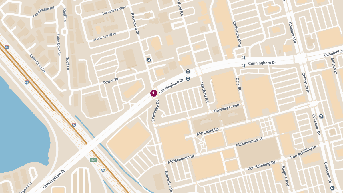 Pedestrian Injured in Collision at Cunningham Dr & Executive Dr