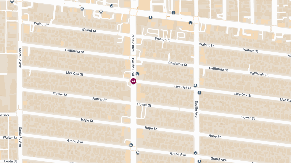 Pedestrian Injured in Hit-and-Run at Live Oak St & Pacific Blvd