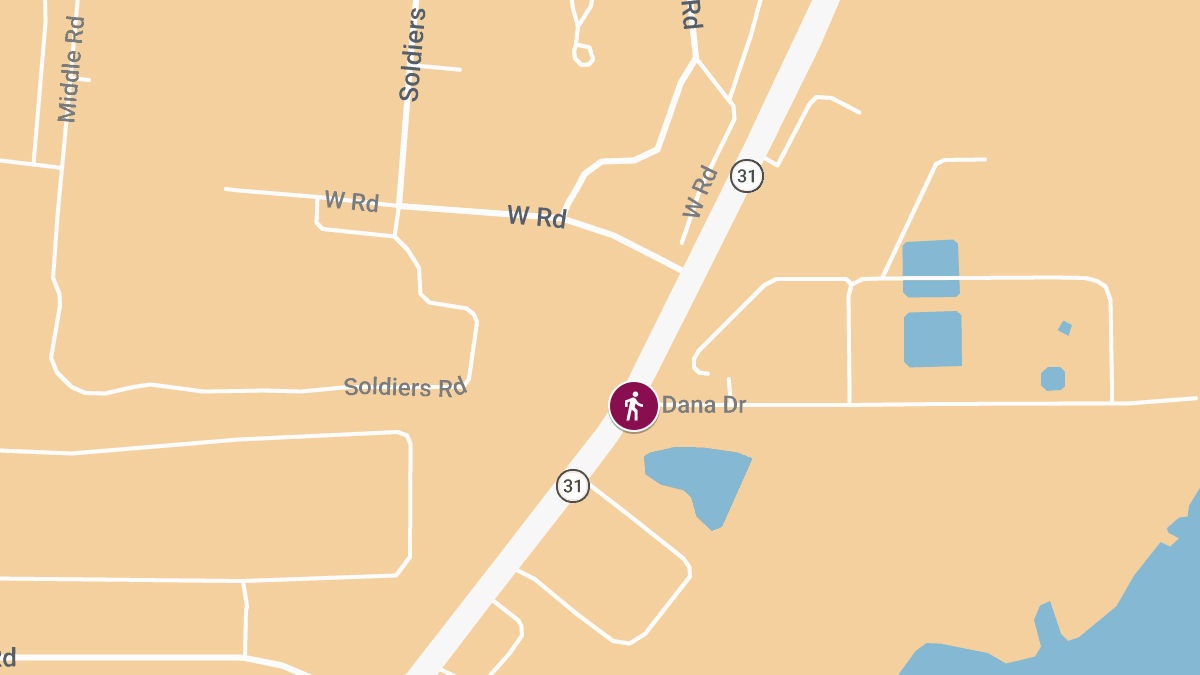 Pedestrian Injured in Traffic Collision at S State St & Dana Dr