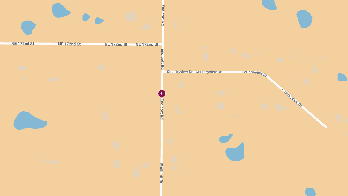 Pedestrian Seriously Injured in Collision on 17027 Endicott Rd