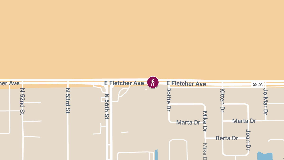 Pedestrian Struck in Traffic Accident on E Fletcher Ave Near Northford Ave