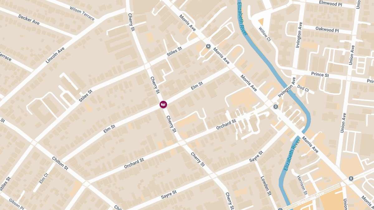 Three Injured in Early Morning Collision at Cherry St & Elm St