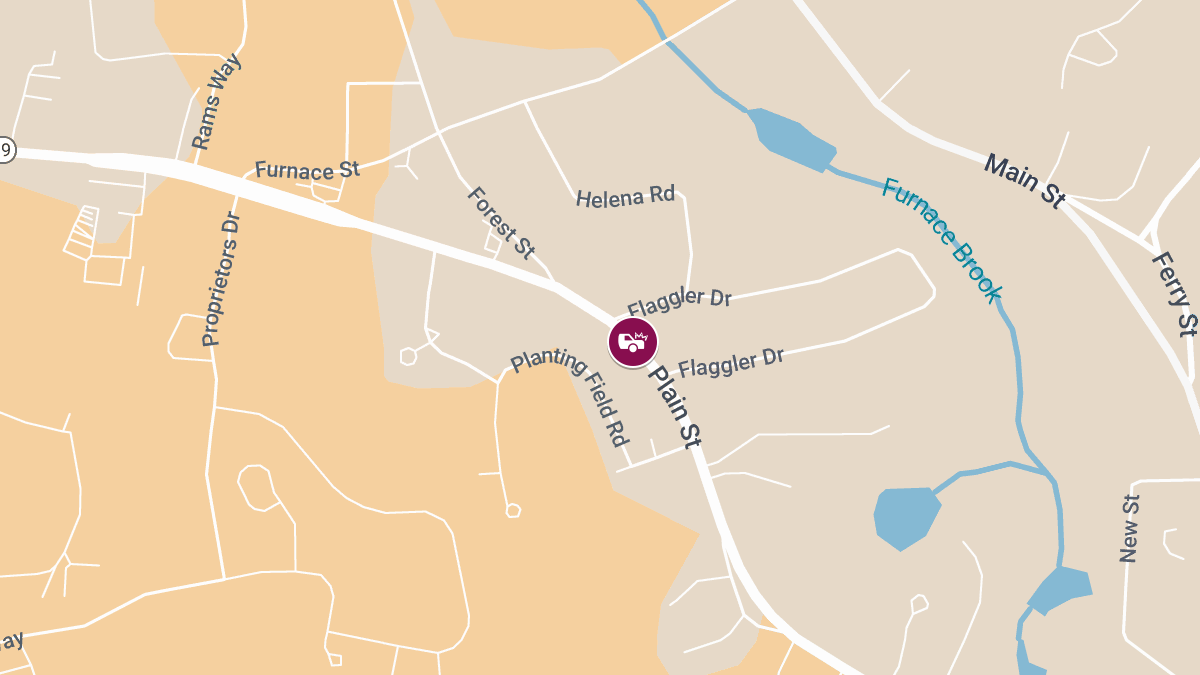 Two Seriously Injured in Head-On Crash on Plain St