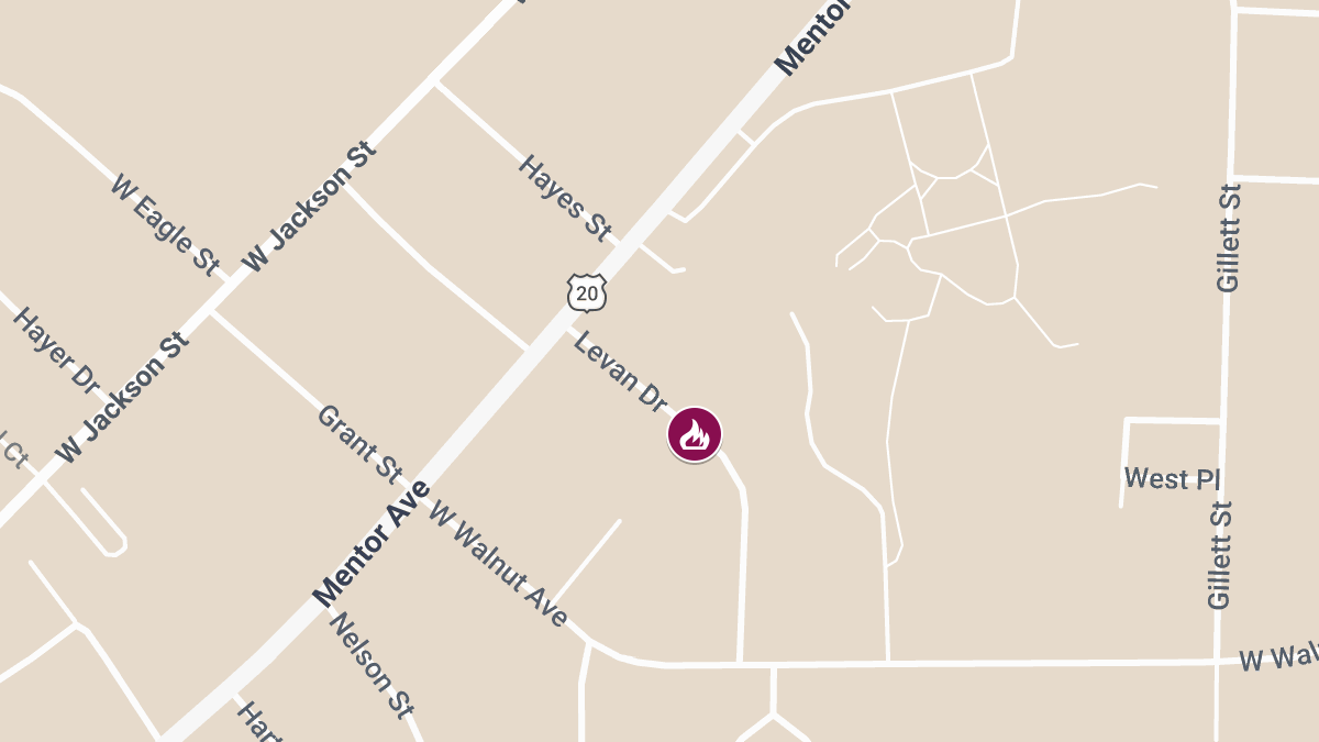 Woman Killed, Man Injured in House Fire on Levan Dr