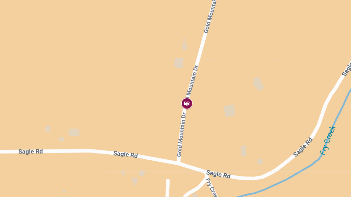 1 Killed, 1 Critically Injured in Gold Mountain Dr Fire