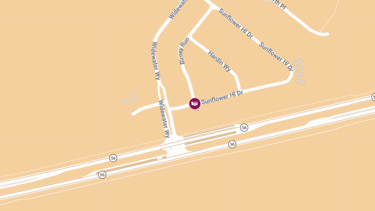 Accident With Injuries at Sunflower Hill Dr & Birney Run