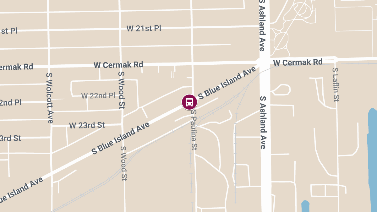 Fatal Crash Involving CTA Bus on S Blue Island Ave