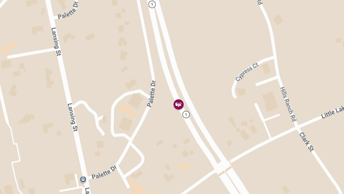 Fatal Crash on State Route 1 Near Gualala